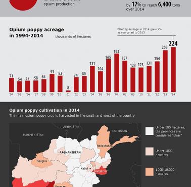 Produkcja opium w Afganistanie od 20 lat