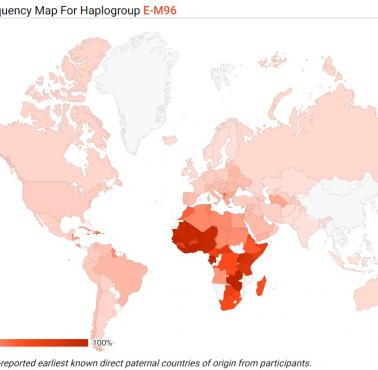 Częstość występowania afrykańskiej haplogrupy ojcowskiej E na świecie (FamilyTreeDNA)