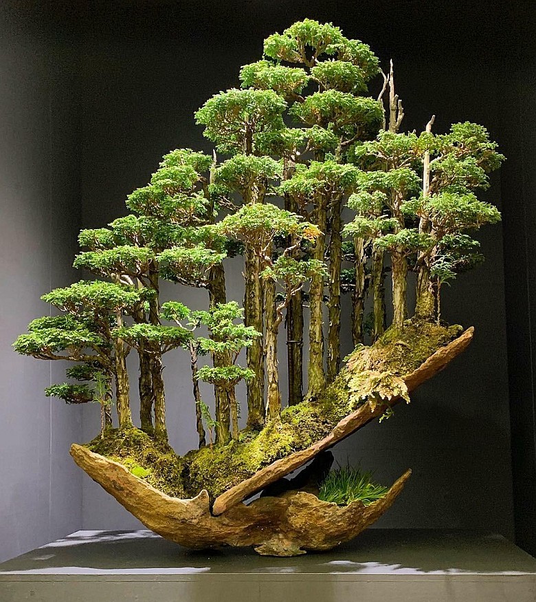 Takie drzewko bonsai sprzedano w Japonii za 16 tys. dolarów