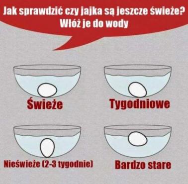 Jak sprawdzić, czy jajka są jeszcze świeże?