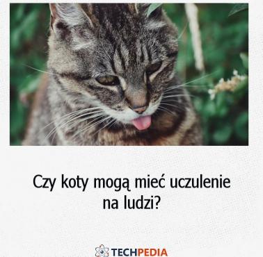 Czy koty mogą mieć uczulenie na ludzi?