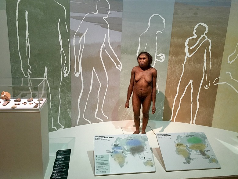 Tak prawdopodobnie wyglądał Homo floresiensis (człowiek z Flores) – wymarły gatunek hominida, który żył 100-50 tys. lat temu