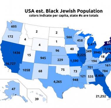 Prognozy ludności afroamerykańskiej i żydowskiej w USA z podziałem na stany
