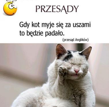 Przesądy - Gdy kot myje się za uszami to będzie padało