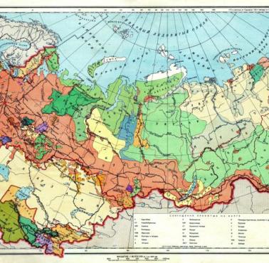 Mapa narodowościowa Związku Radzieckiego, 1941