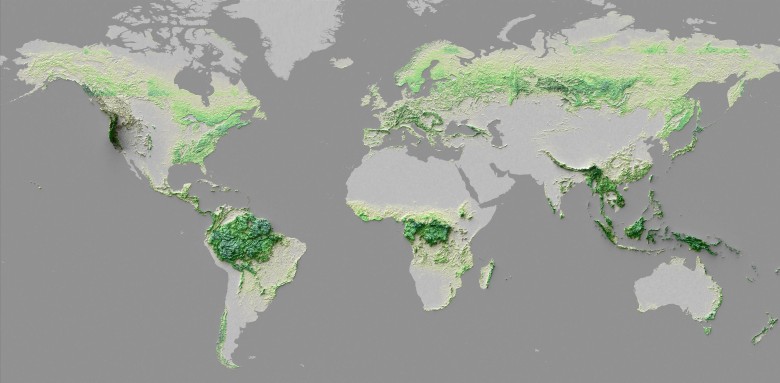 Lasy jako góry, mapa reliefowa