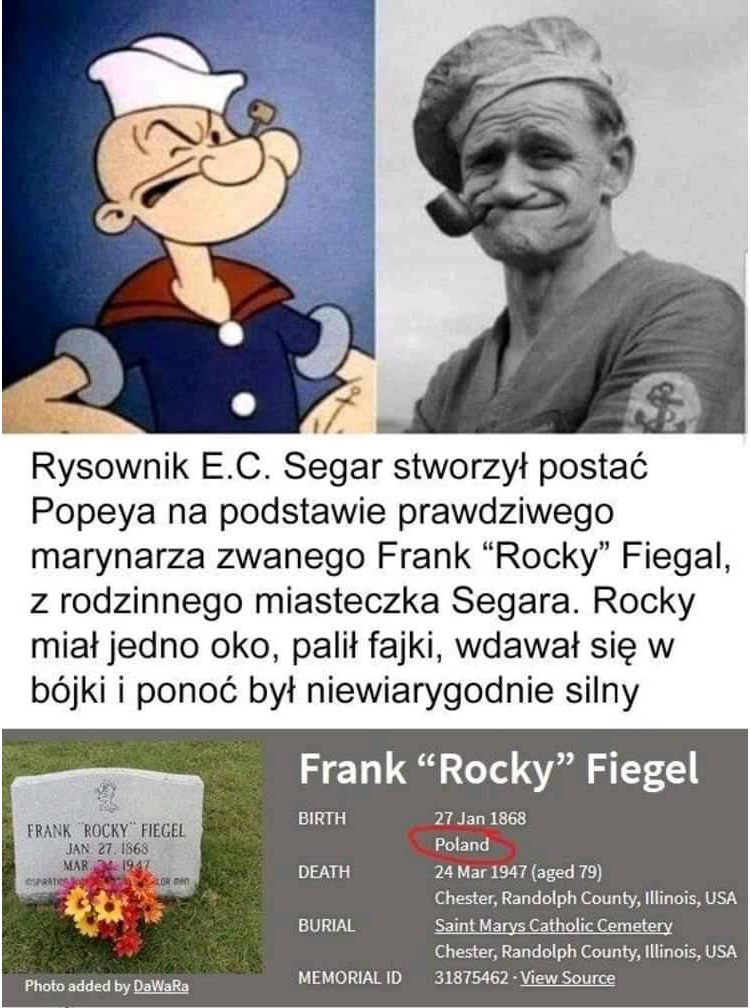 Protoplastą Popeye'a był Polak