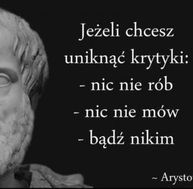 "Jeżeli chcesz uniknąć krytyki: - Nic nie mów. - Nic nie rób. - Bądź nikim." Arystoteles