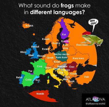 Jaki dźwięk wydają żaby w europejskich językach