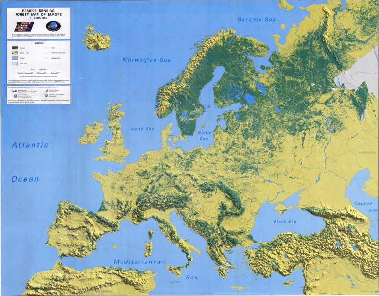 Zalesienie (lesistość) Europy, 1992
