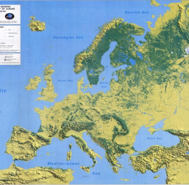 Zalesienie (lesistość) Europy, 1992