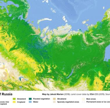 Pokrycie lasów w Rosji