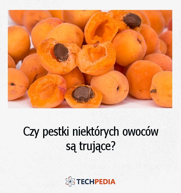 Czy pestki niektórych owoców są trujące?