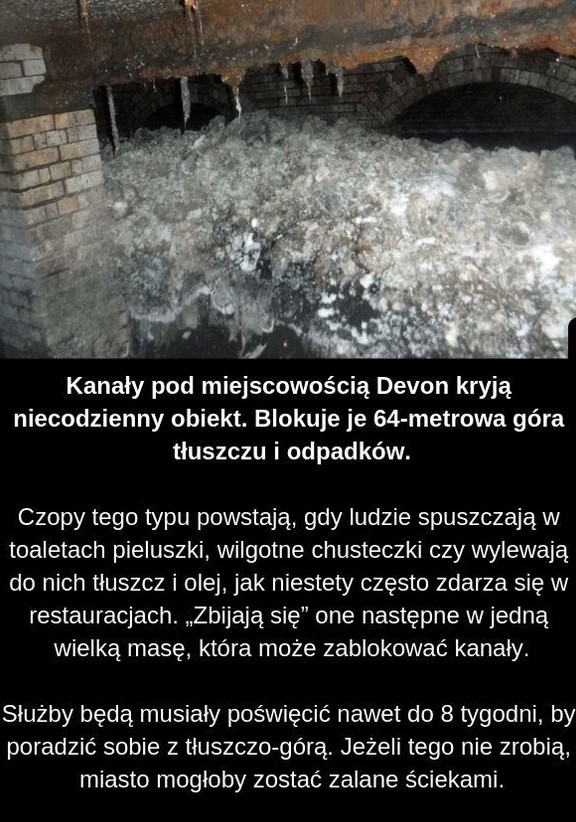 Tłuszczowy czop