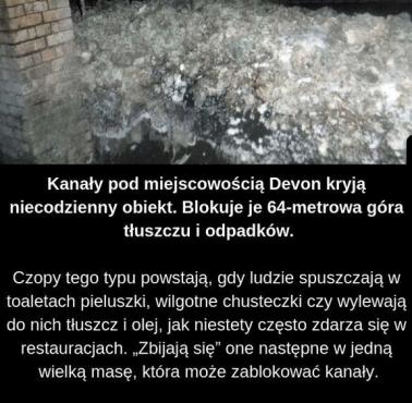 Tłuszczowy czop