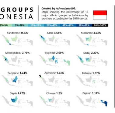 Grupy etniczne w Indonezji, 2010