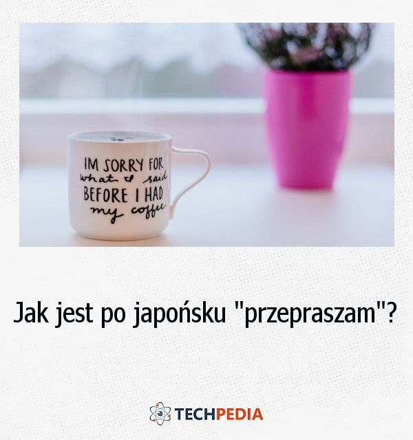 Jak jest po japońsku “przepraszam”?