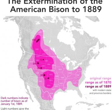 Występowanie żubrów (bizonów) w Ameryce Północnej kiedyś i dzisiaj. Etapy eksterminacji do 1889 roku