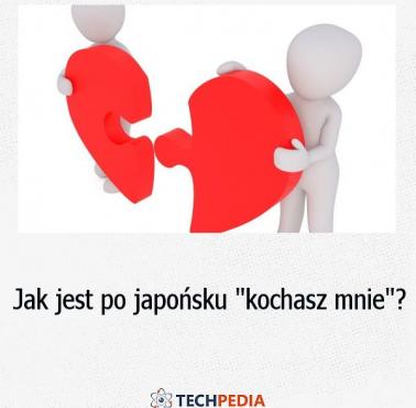 Jak jest po japońsku “kochasz mnie?”?