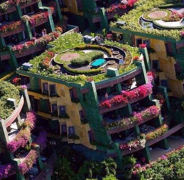 Zielone apartamenty w Tajlandii