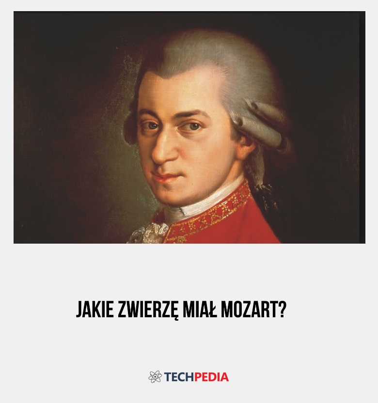 Jakie zwierzę miał Mozart?