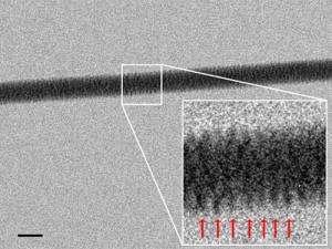 DNA pod mikroskopem elektronowym