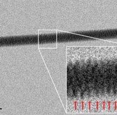 DNA pod mikroskopem elektronowym