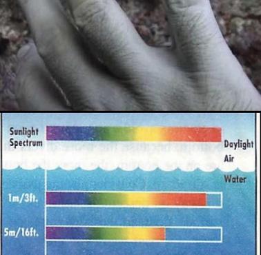 Na głębokości ok. 10 metrów krew ludzka z powodu braku koloru czerwonego staje się zielona