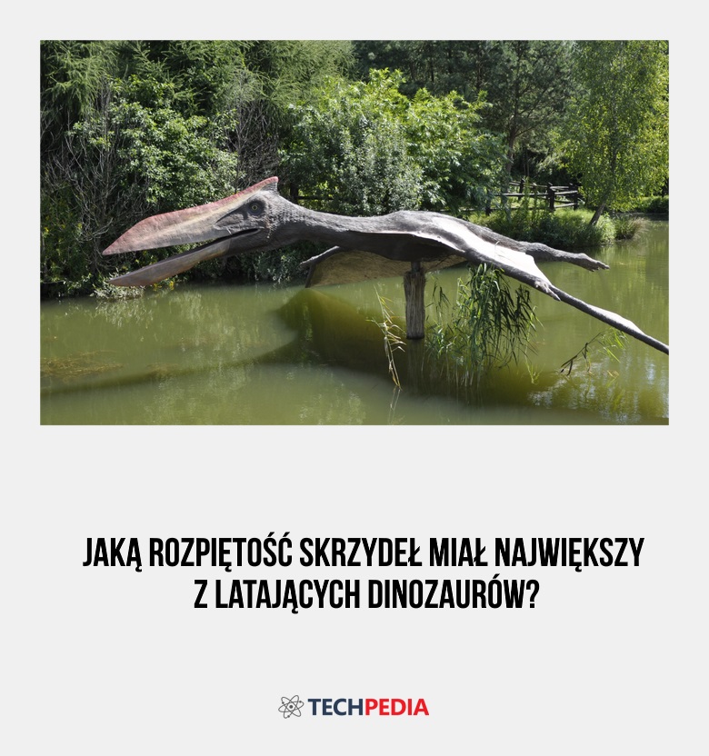 Jaką rozpiętość skrzydeł miał największy z latających dinozaurów?