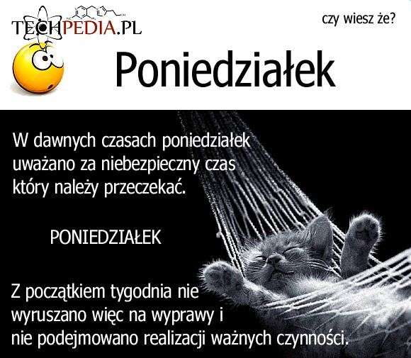 Poniedziałek