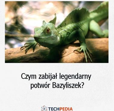 Czym zabijał legendarny potwór Bazyliszek?