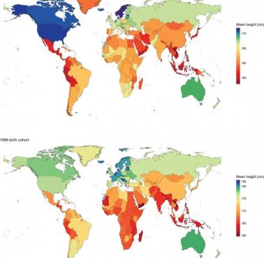 Trendy wzrostu dorosłego człowieka