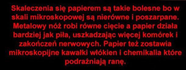 Dlaczego skaleczenie papierem tak bardzo boli?