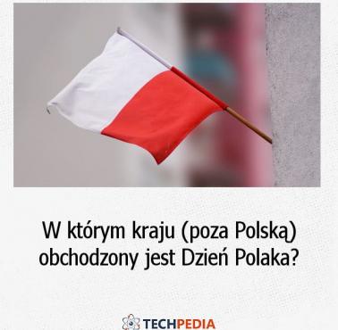 W którym kraju (poza Polską) obchodzony jest Dzień Polaka?