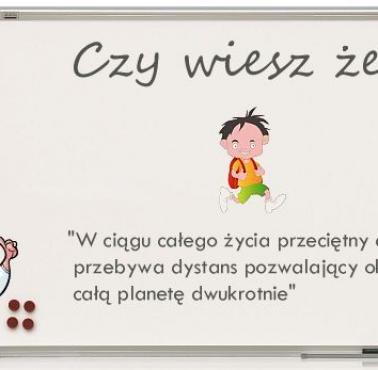 Czy wiesz że?