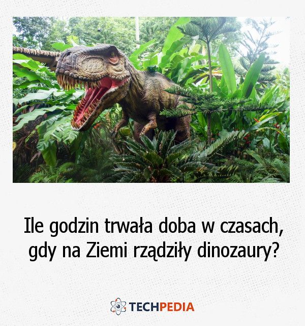 Ile godzin trwała doba w czasach, gdy na Ziemi rządziły dinozaury?