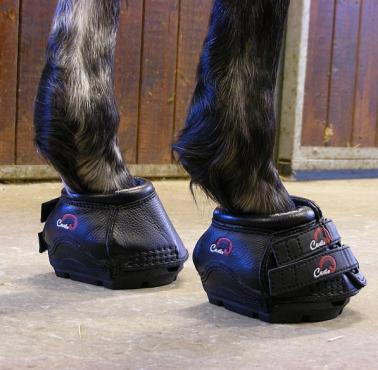 Skórzane buty dla konia Simple Boots Cavallo