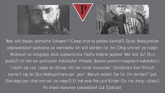 Czego chce ta polska świnia? Ojciec Maksymilian Kolbe ...