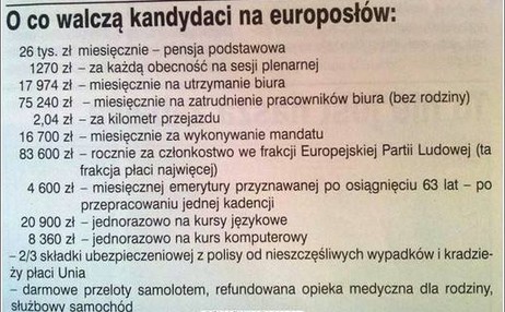 O co walczą kandydaci na europosłów