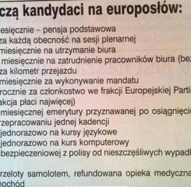 O co walczą kandydaci na europosłów