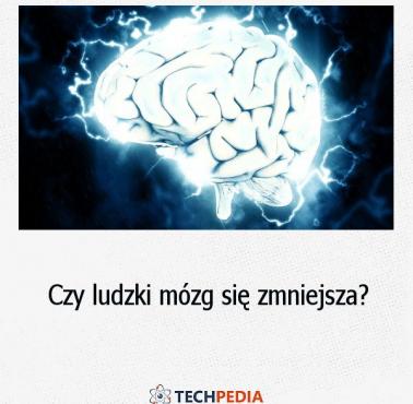 Czy ludzki mózg się zmniejsza?