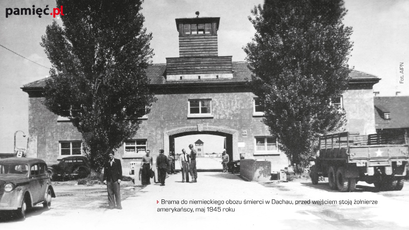 W Dachau nie było zwierząt pociągowych, zastępowali je polscy kapłani. Ks. bp Franciszek Korszyński wspominał: „Ludzi ...