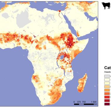Dystrybucja bydła w Afryce