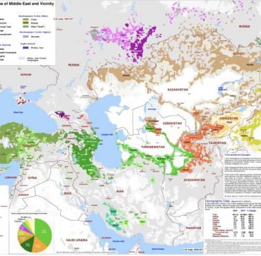 Mapa występowania języków tureckich (rodziny językowe) na świecie