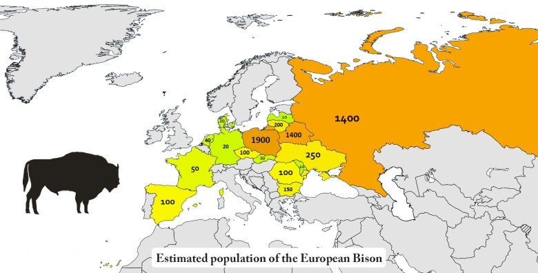 Populacja żubrów europejskich