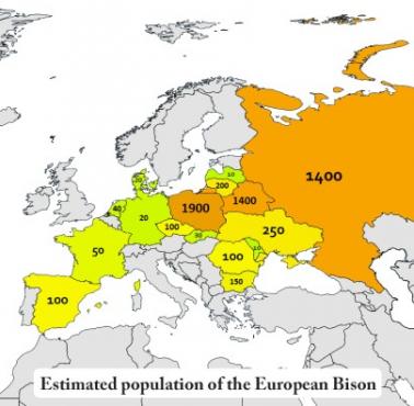 Populacja żubrów europejskich