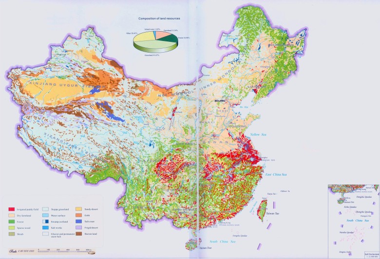 Mapa pokrycia terenu w Chinach