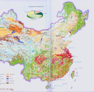 Mapa pokrycia terenu w Chinach