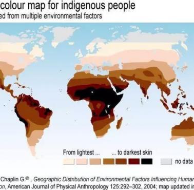 Dominujące kolory skóry na świecie