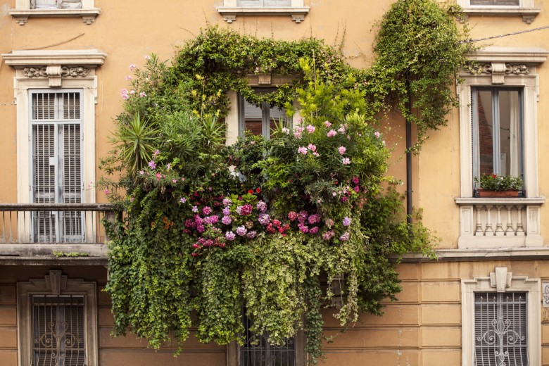Zielony balkon, Milan, Włochy